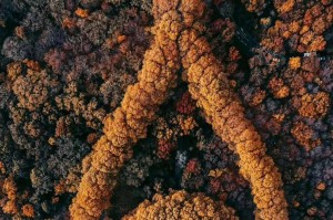 江浙沪3日游去哪里好？精选4条经典路线，轻松规划完美小长假