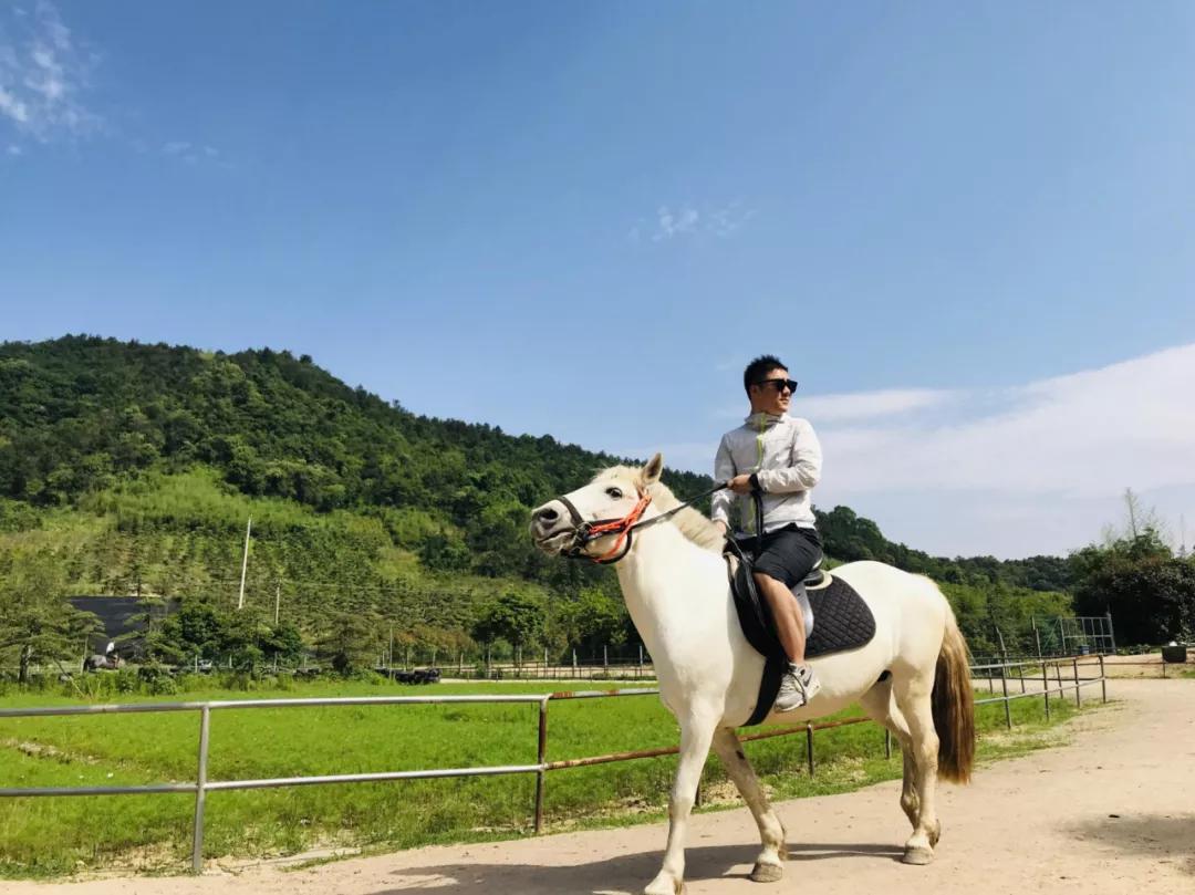 旅游该去哪里好玩？精选家庭亲子、情侣浪漫、背包探险及海外高性价比目的地推荐