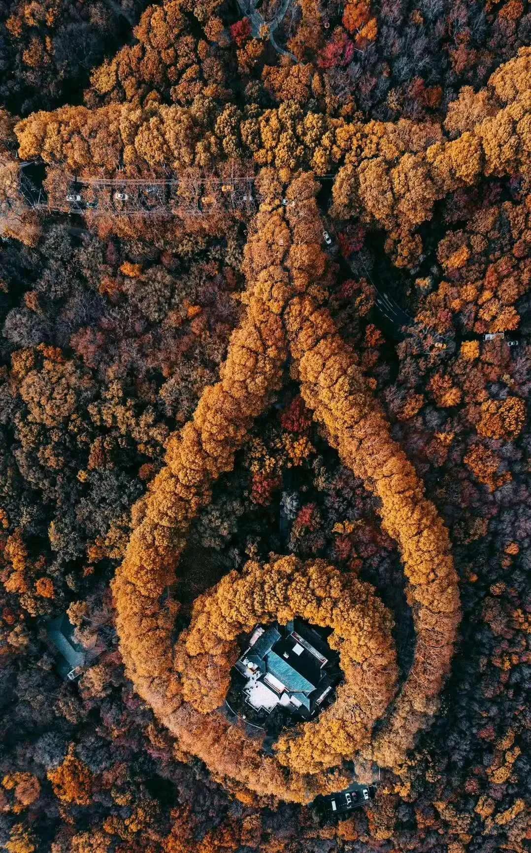 江浙沪3日游去哪里好？精选4条经典路线，轻松规划完美小长假