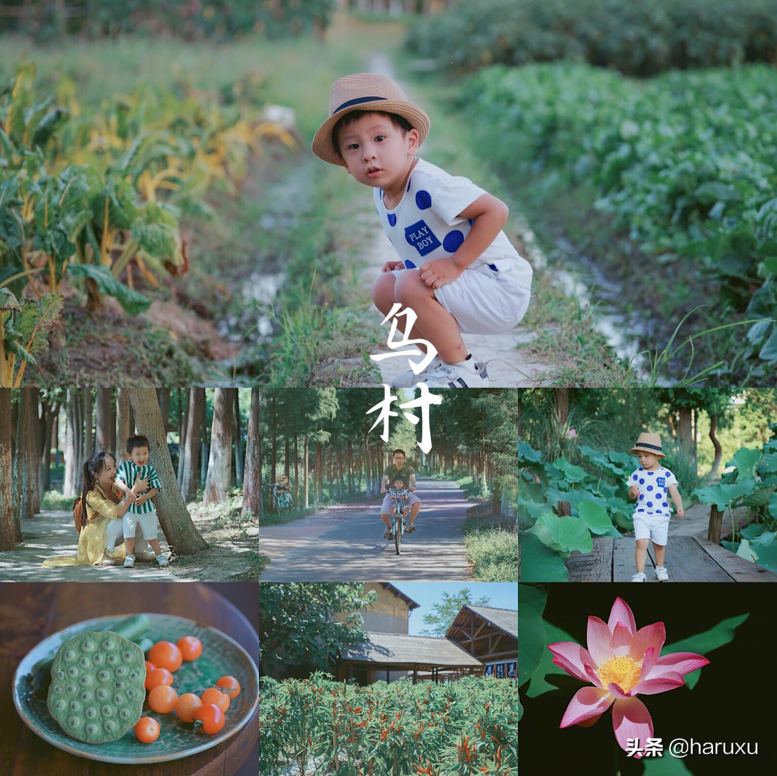 江浙沪3日游去哪里好？精选4条经典路线，轻松规划完美小长假