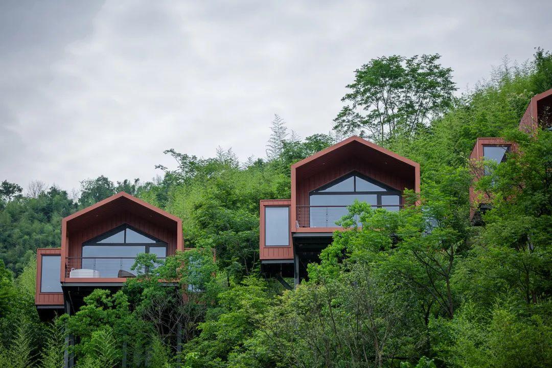 杭州景点小报：带你避开人潮，发现本地人私藏的杭州秘境与地道玩法