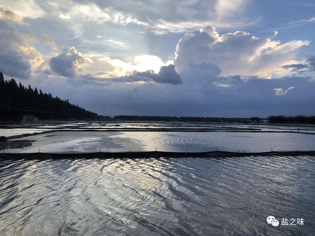 哈尔滨旅游团报价查询全攻略：轻松避坑，省钱又省心