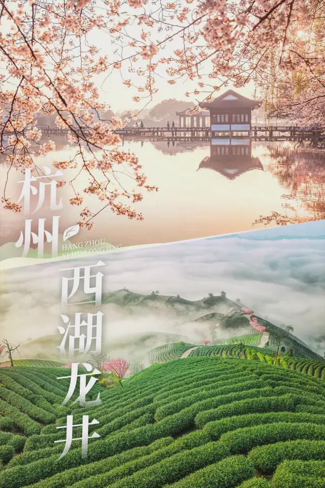杭州旅游手册：避开人潮，解锁西湖、运河、龙井茶园深度游的快乐秘籍