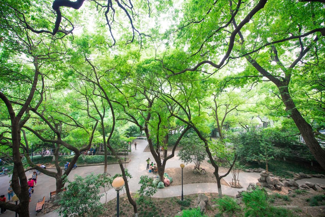 杭州旅游的作文怎么写？掌握这些技巧轻松写出诗意游记